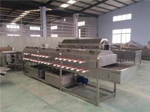 銷售莖類蔬菜水果瓜果中藥氣泡噴淋式清洗機 食品機械 加工廠設備