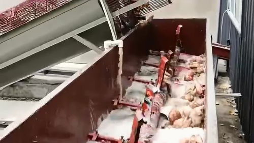 自動化紅薯淀粉生產(chǎn)線清洗工段,漿葉式清洗機,清洗力度大裂縫也清洗徹底