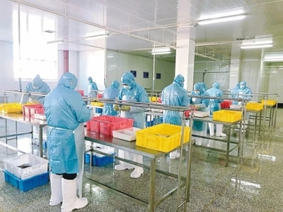 【強信心 增動能-高質量發展一線報道】把&ldquo;舌尖&rdquo;上的產業做精做細