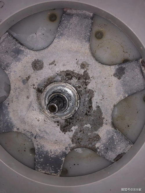 家電清洗最好請專業人士,切不可盲目拆洗,否則后果很嚴重