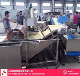 山東嘉信鳳尾菇清洗機(jī) 高效清洗解決方案與產(chǎn)品展示